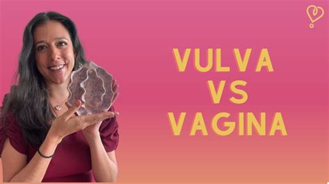 baginas|Vagina não é vulva, e a sua é única! Aprenda mais com estas 6。